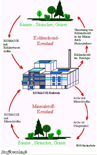 Bild4